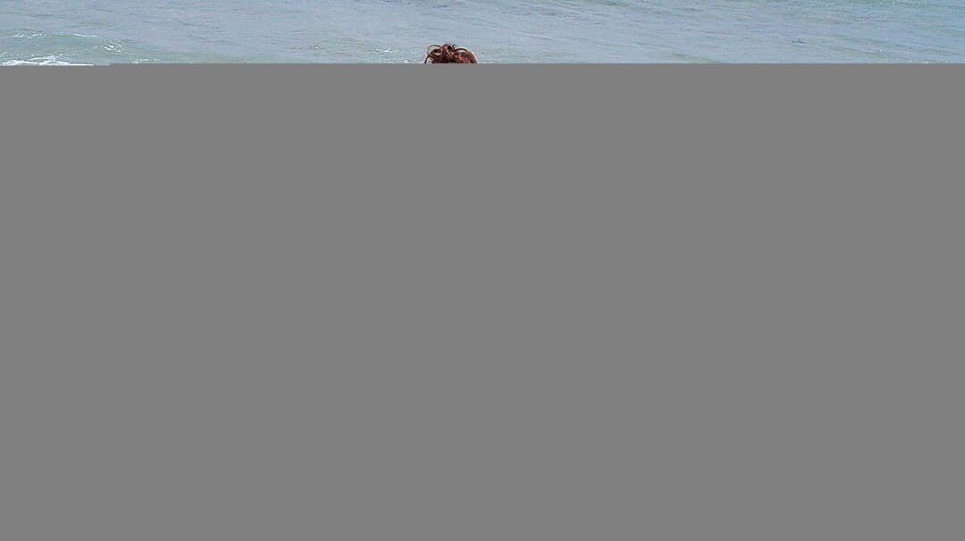 Laylarayaa star photo