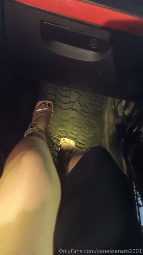 Vanessarazo2201 beautiful model galleries