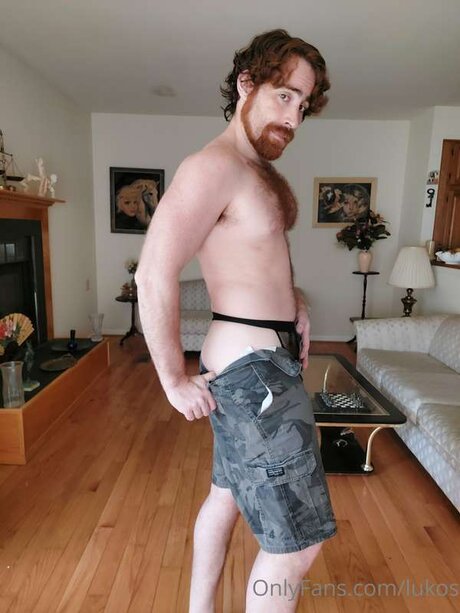 Lukos model art galleries