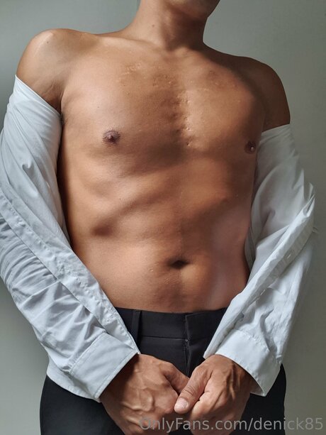 Denick85 best model image