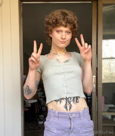 Tgirllilyfree top pornstar image