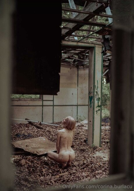 Corina Burlacu nudes pornstar photo