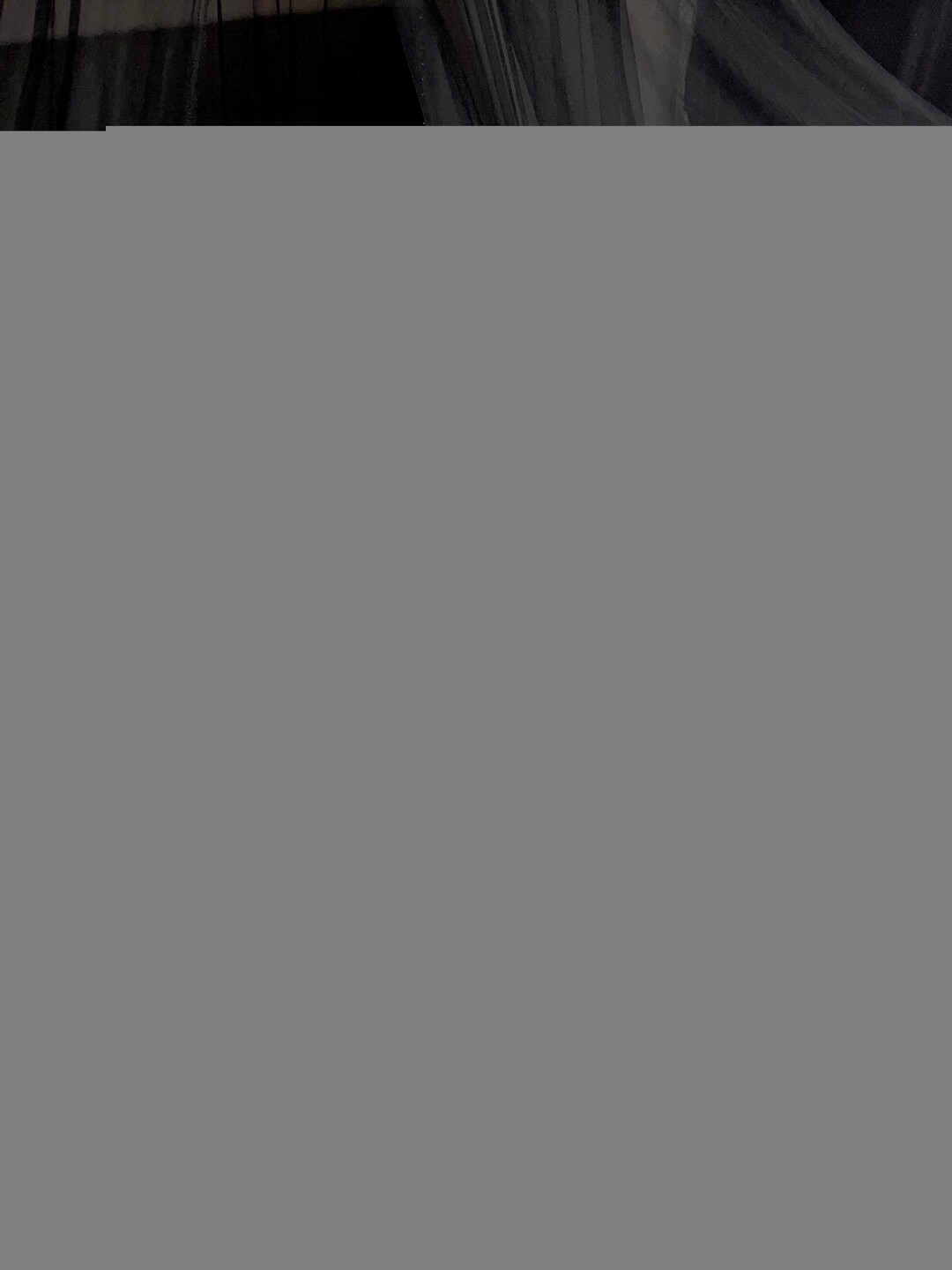 Mangobeetle top profile image