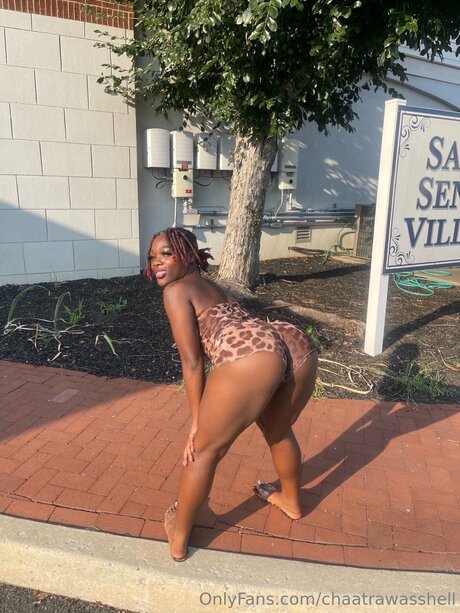 Chaatrawasshell nice pornstar gallery