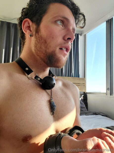 Brandonmagnum xxx pornstar images