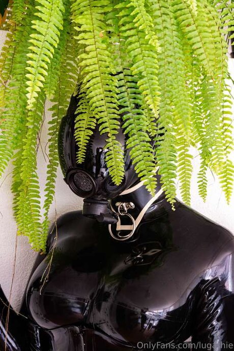 Lugathie art star img