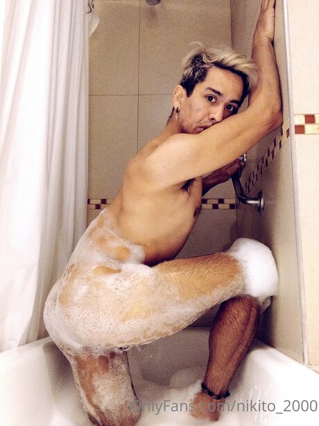 Nikito 2000 model free gallery