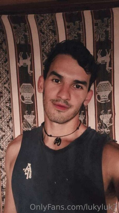 Lu Ken art star galleries