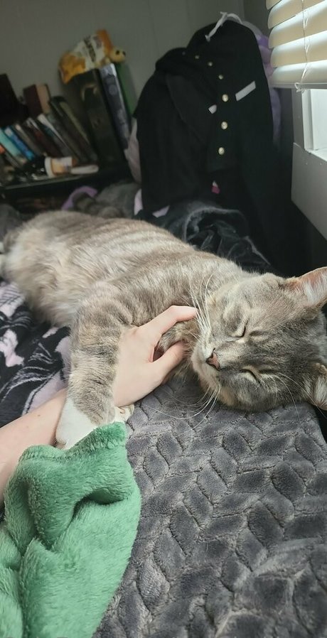 izzy hellbourne profile image