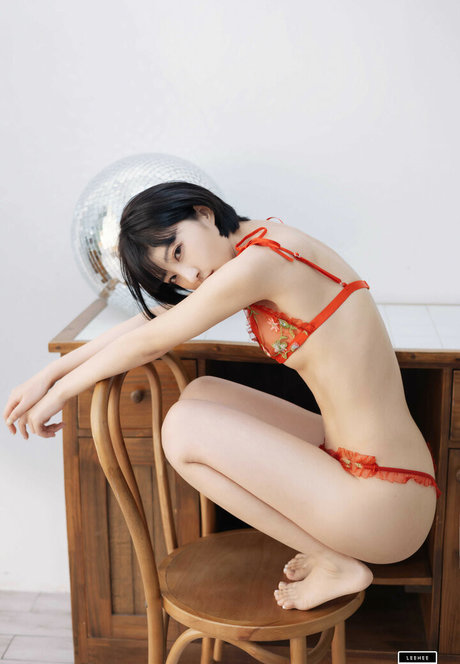 HaNaRi high quality model picture