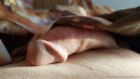 Janhusnik pornstar nude photo