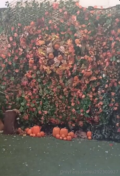 curvy nude onlyfans free sex pics