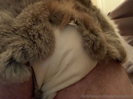 Yourtarzanbro pretty pornstar pics