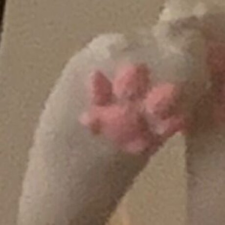 denpafish model nude archive