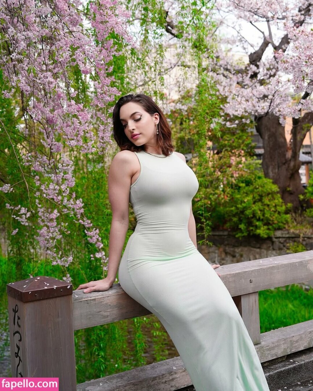 Miss Bri Torres pornstar hd picture