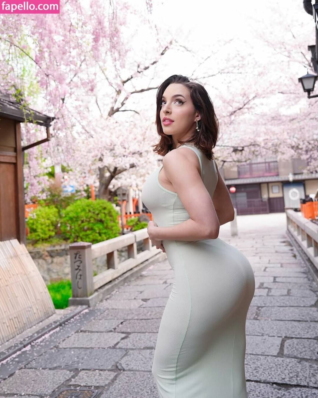 Miss Bri Torres porn star pic