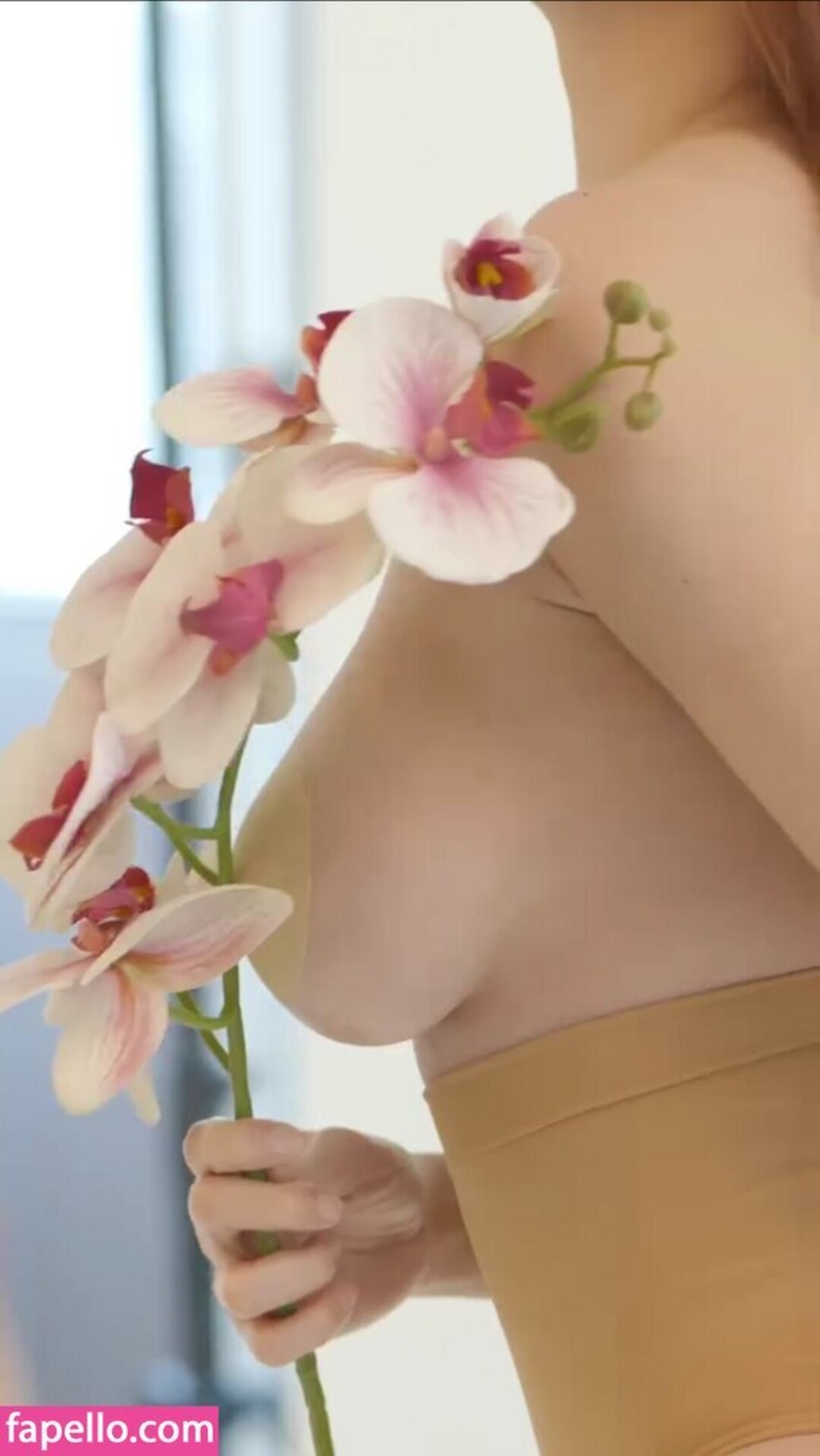 Kim Luz pornographic actress archive