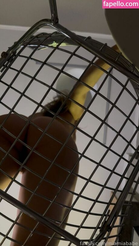 frrantsevaa hot star pics