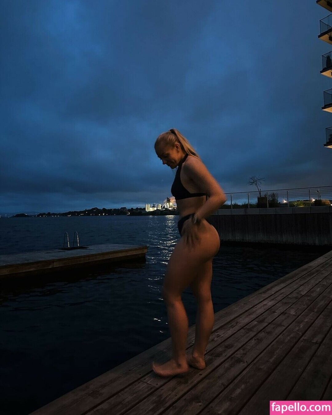 Silje Fredsvik pretty model pictures