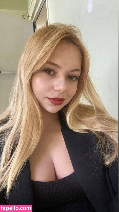 biranset model best img