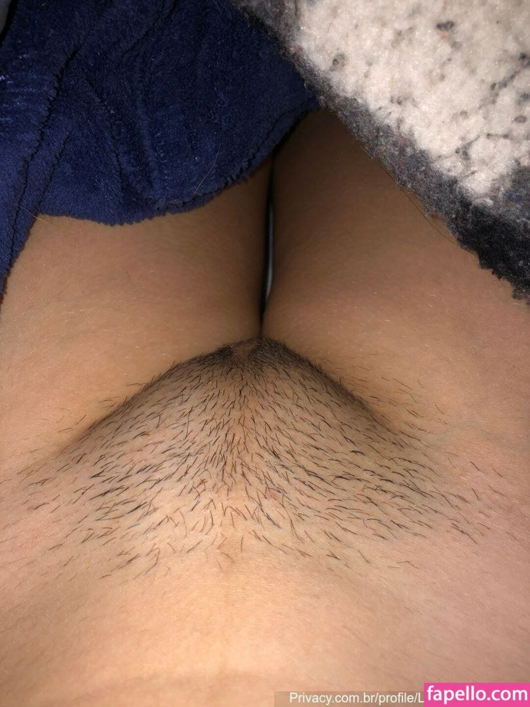 cougars onlyfans adult images