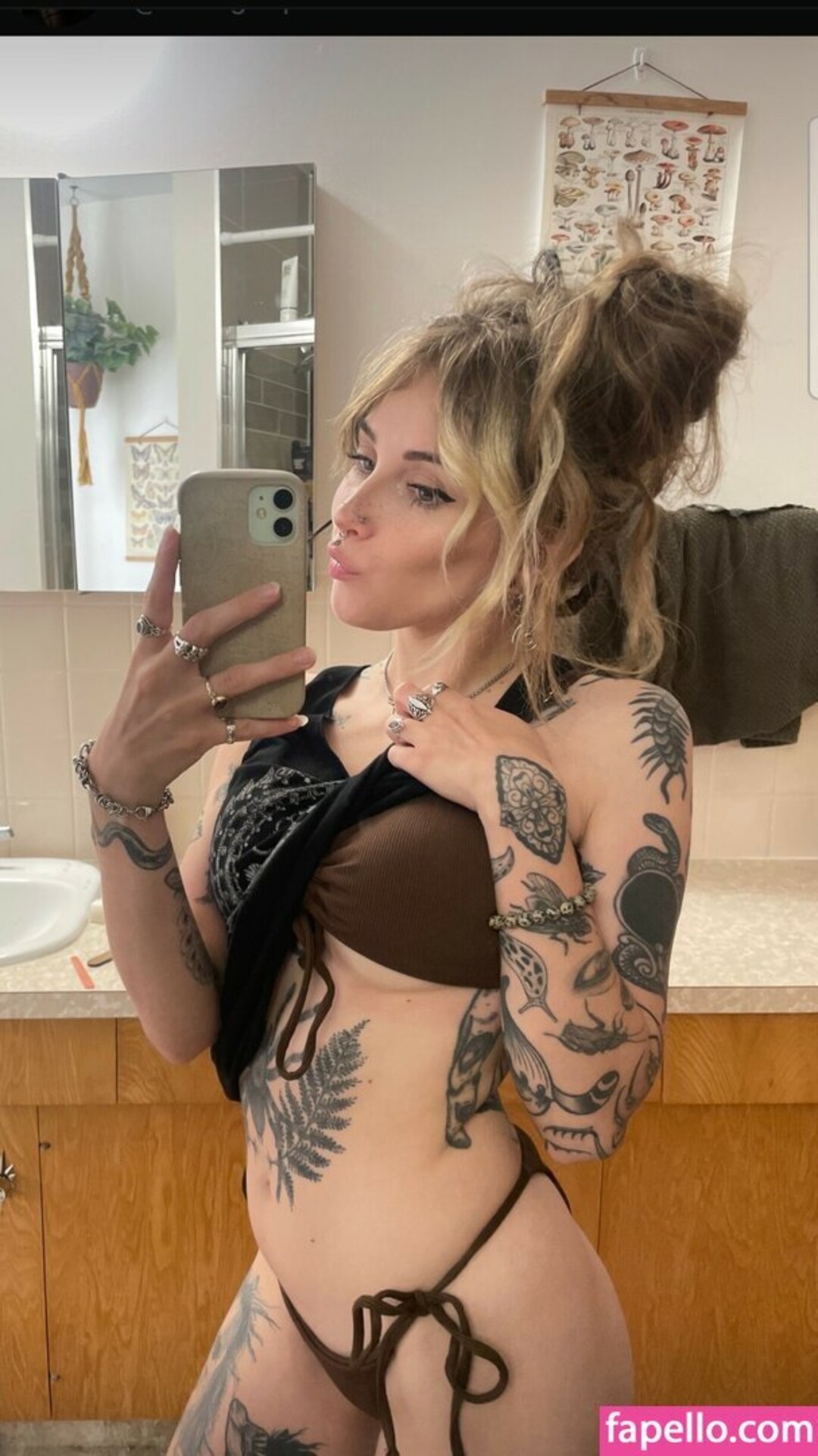 Mushbugs pornstar xxx galleries