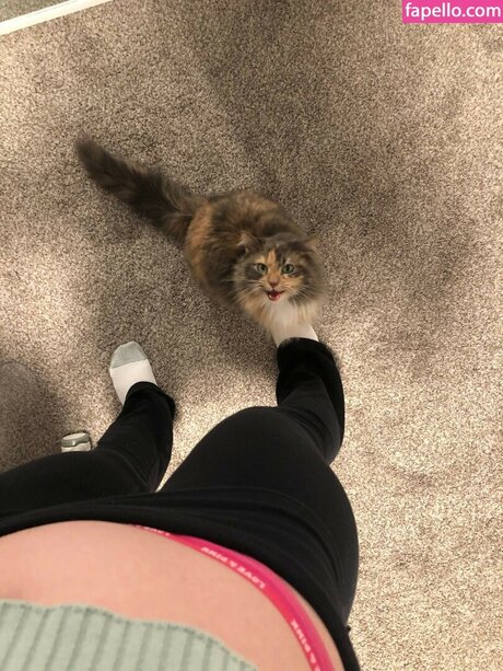 Tama Hero star free images