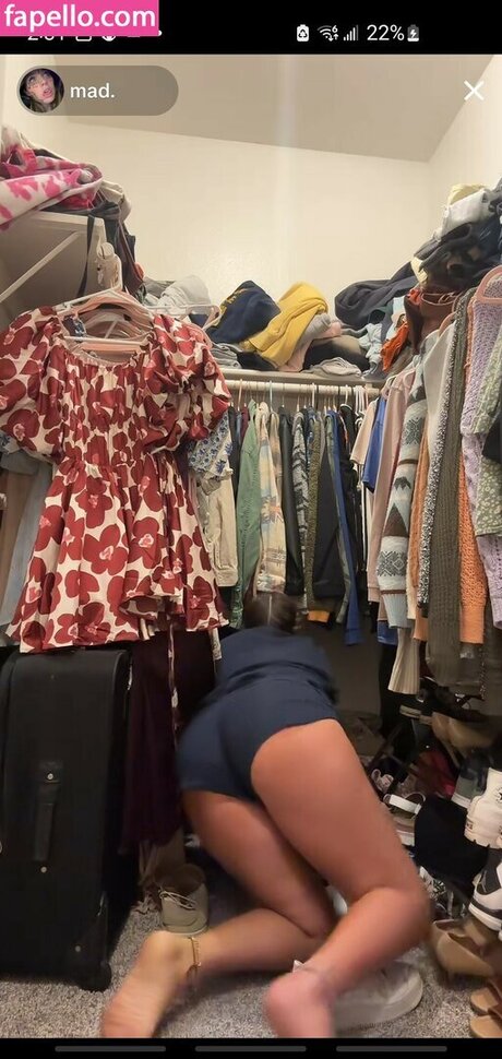 madisons the shit star adult img