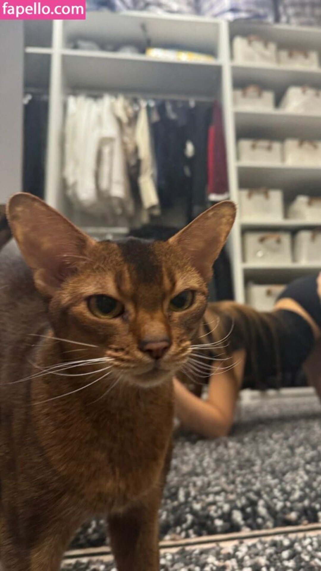 influesii753 porn actress picture