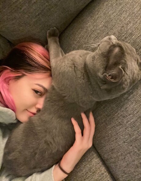 Sidsityttv hot star picture