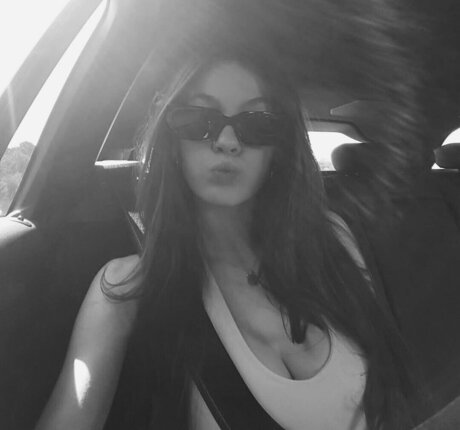 nic2hardo nice star galleries