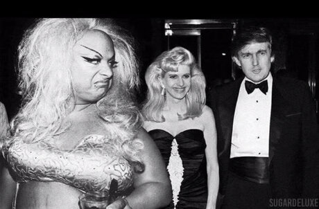 WAP Tart top actress image