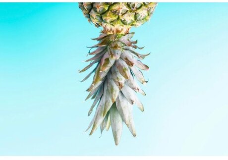 Tara D model porn pics