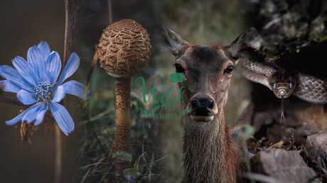 ebony squirt onlyfans hot sexy pictures