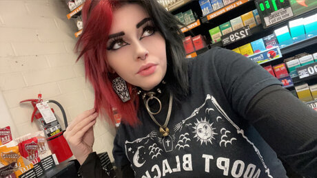 Dahlia Sunflower high quality model archive