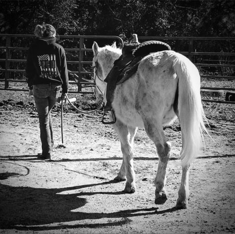 that southern girl top model photos