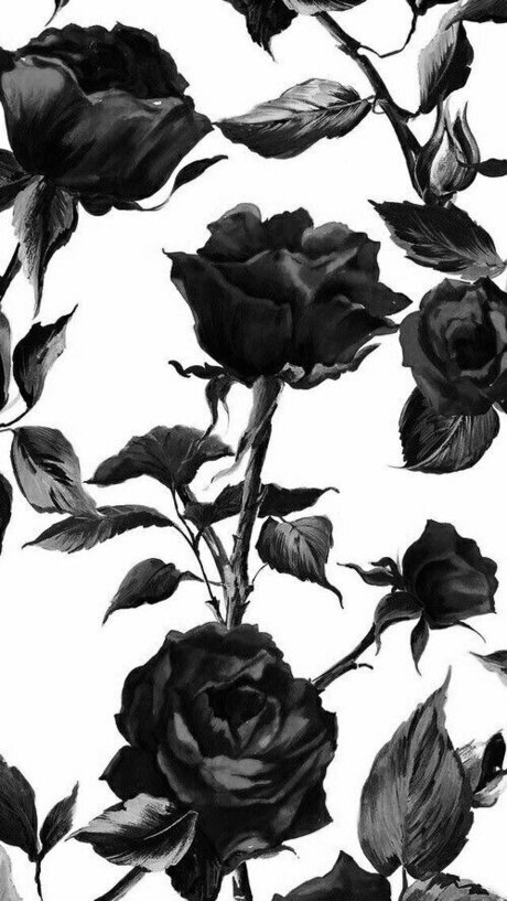 ebony bbw onlyfans hot nude archive