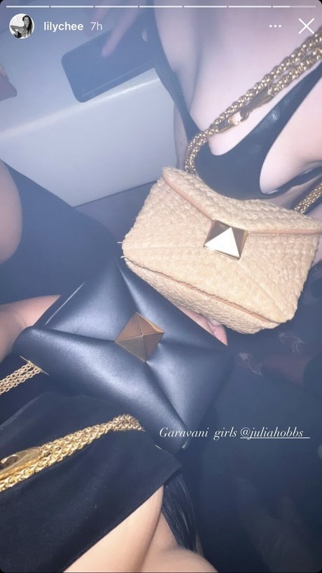 Lily Chee beautiful actress pic