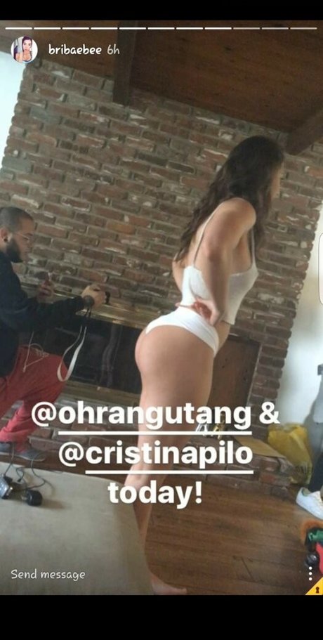 Bribaebee art pornstar img