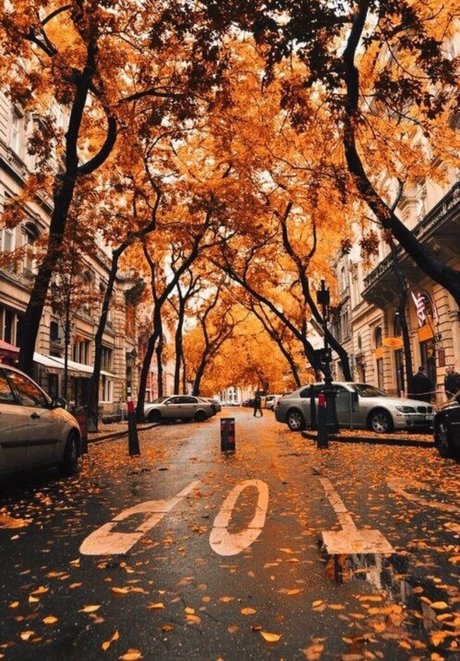 Lizzy Decologero model picture