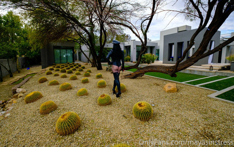 mayasinstress model pornographic image