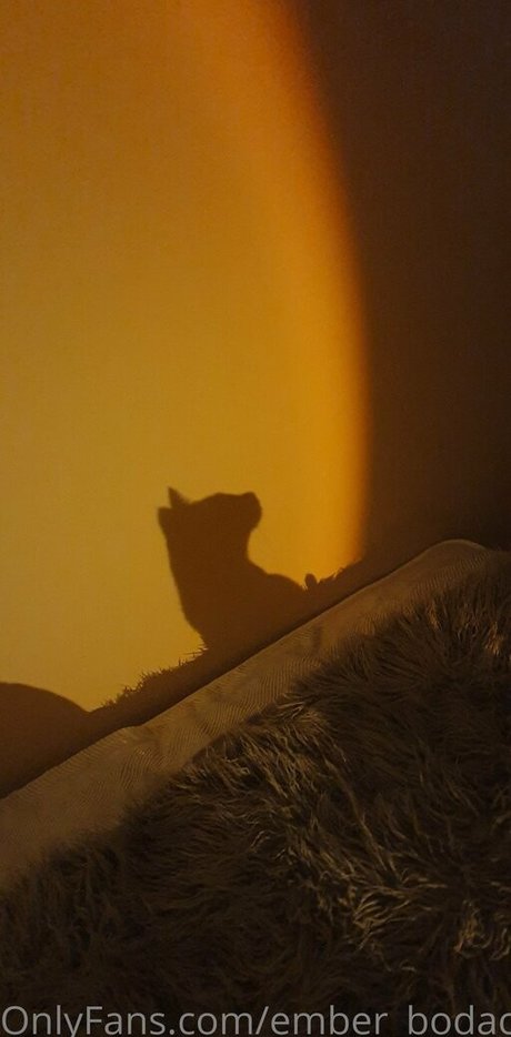 ember bodacious model art images