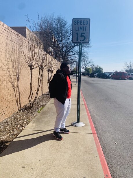 Ant star pretty archive