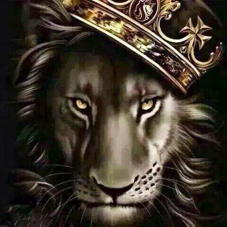 dominic steele beautiful actress image