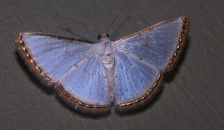 lucy beautiful pornstar photos