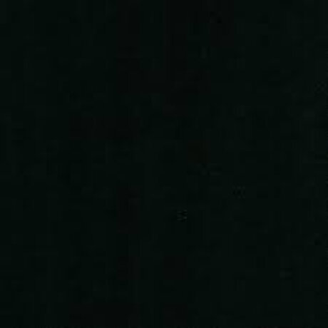 Happylizard star xxx pic