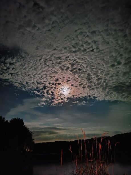 xxx teen onlyfans hot sex image