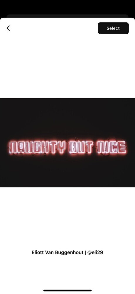 Honey Pie star pretty photo