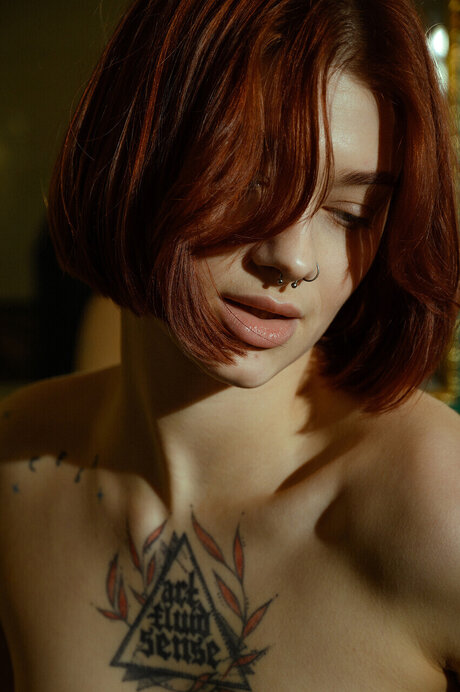 h beley star beautiful pic