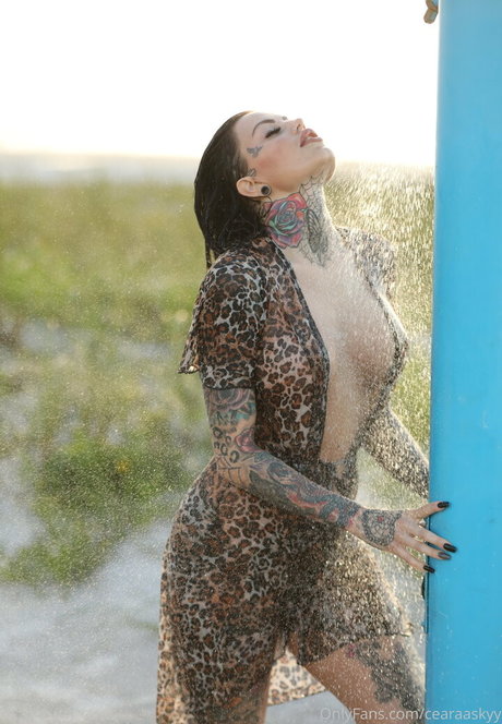 whitedovecries hot star pics